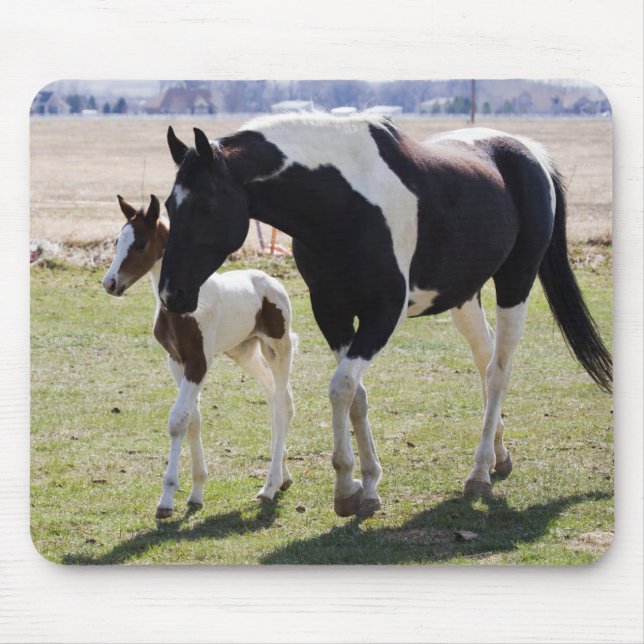 Mousepad Mare e Filly Walking (Frente)