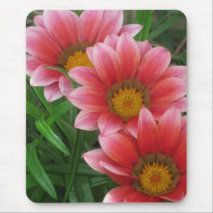 Mousepad margarida africana