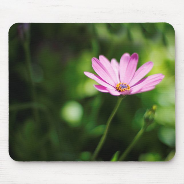 Mousepad margarida africana (Frente)