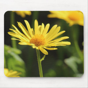Mousepad Margarida Amarela