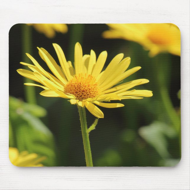 Mousepad Margarida Amarela (Frente)
