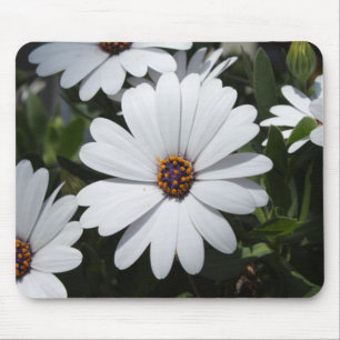 Mousepad Margarida branca na flor