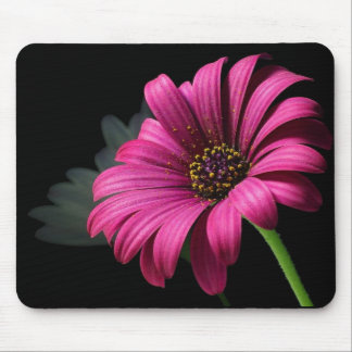 MOUSEPAD MARGARIDA COR-DE-ROSA DO ESTÚDIO