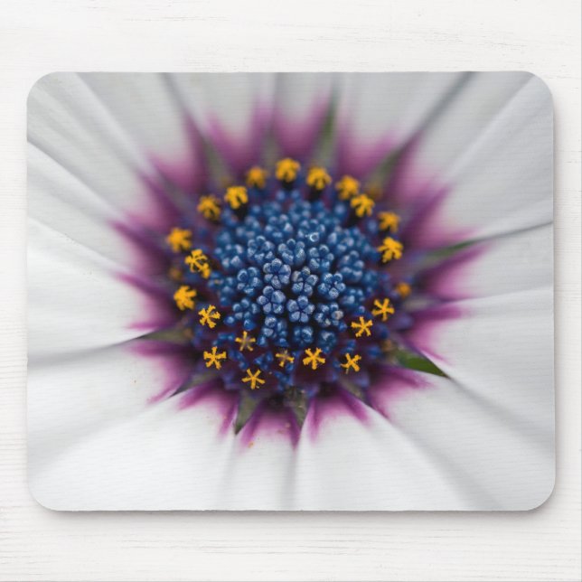Mousepad Margarida de Verão Close Up (Frente)