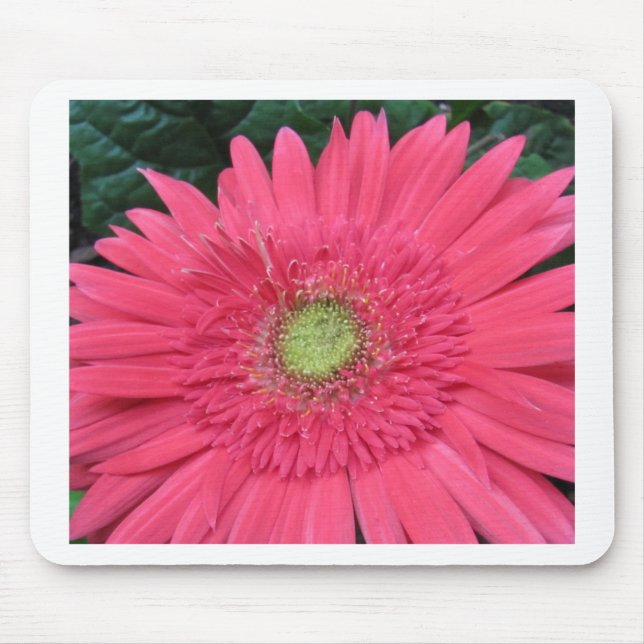 Mousepad Margarida do Gerbera (Frente)