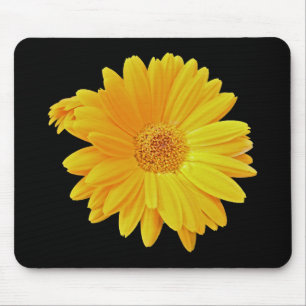 Mousepad Margarida do Gerbera (hybrida) do Gerbera -