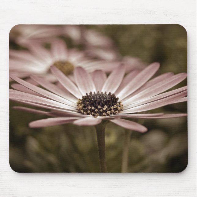 Mousepad Margarida rosa macro (Frente)
