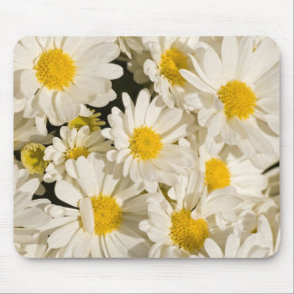 Mousepad Margaridas bonito