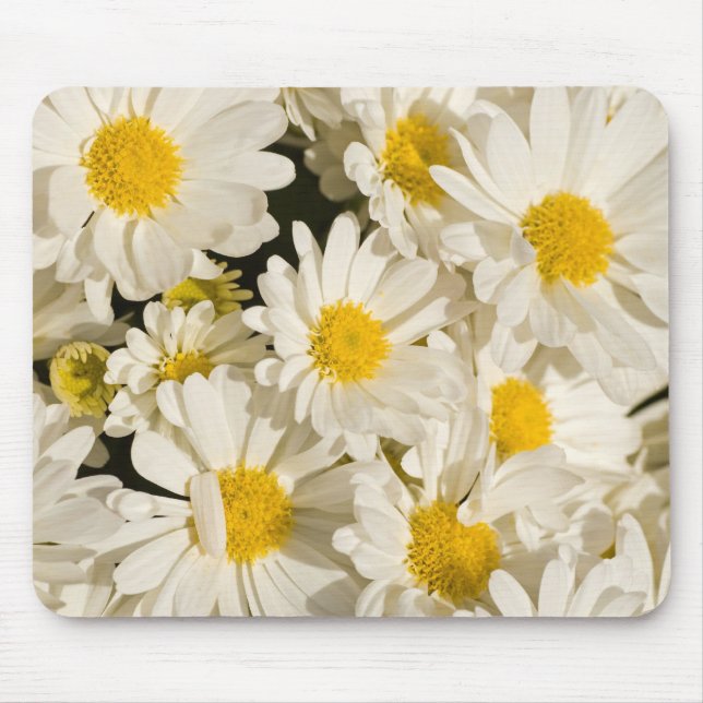 Mousepad Margaridas bonito (Frente)