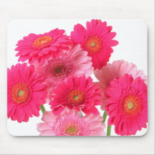 Mousepad Margaridas cor-de-rosa brilhantes do Gerbera