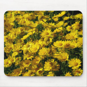 Mousepad Margaridas de coroa/crisântemo Coronarium