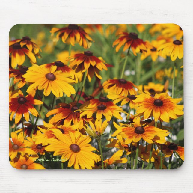 Mousepad Margaridas de Gloriosa! (Frente)