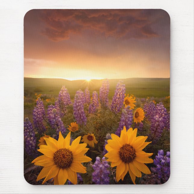 Mousepad Margaridas do por do sol (Frente)