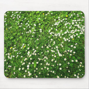 Mousepad Margaridas na grama