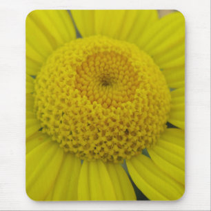 Mousepad Marguerite amarela bonito