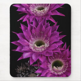 Mousepad Maria Piazza à terceira