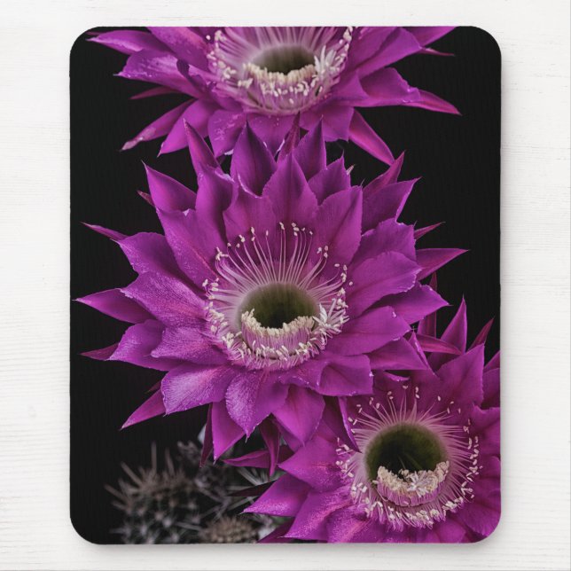 Mousepad Maria Piazza à terceira (Frente)