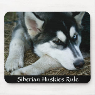 Mousepad Marido Siberiano
