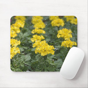 Mousepad Marigold Amarelo Com Pad De Mouse Raindrops