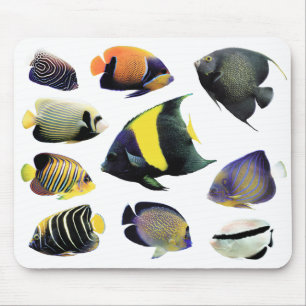 Mousepad Marine Angelfishの マ ス ウ, No.02