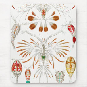 Mousepad Marine Life Crustaceans, Copepoda de Ernst Haeckel