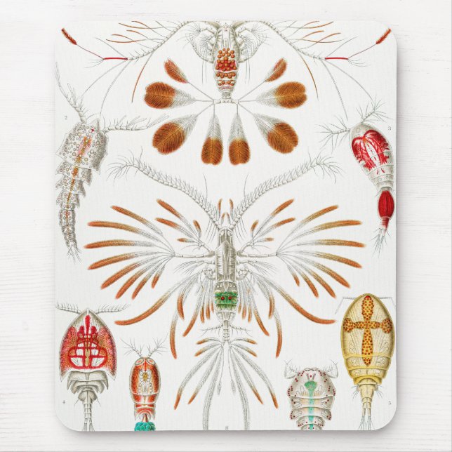 Mousepad Marine Life Crustaceans, Copepoda de Ernst Haeckel (Frente)