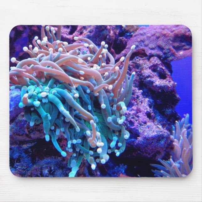 Mousepad Marinheiro de coral anenoma azul-roxo oceano roxo (Frente)