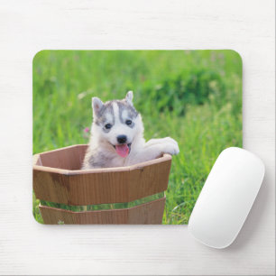 Mousepad Marionete siberiano em Pote