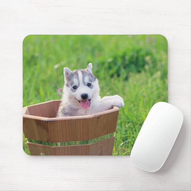 Mousepad Marionete siberiano em Pote (Com mouse)