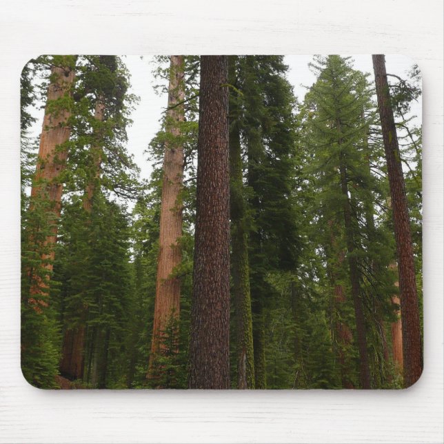 Mousepad Mariposa Grove no Parque Nacional de Yosemite (Frente)