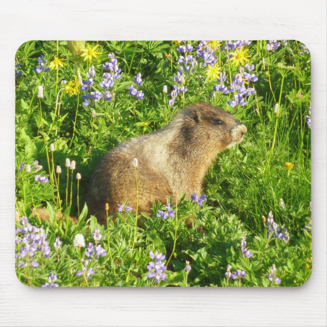 Mousepad Marmot no Monte Rainier Wildflower (Frente)