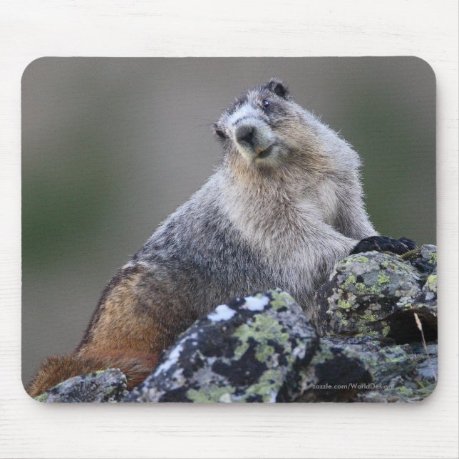 Mousepad Marmota (Frente)