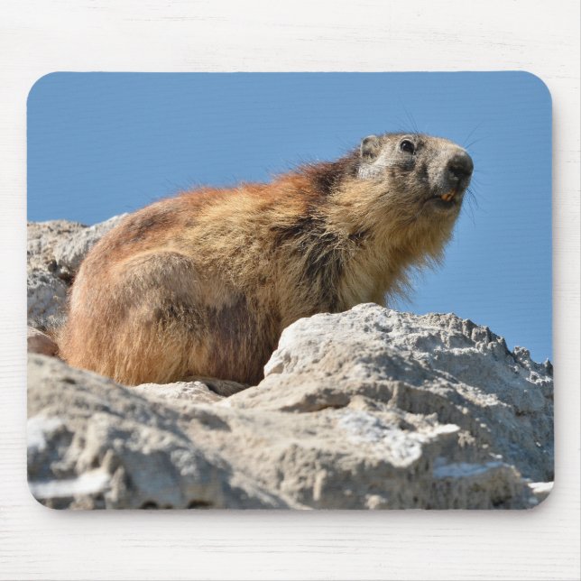 Mousepad Marmota alpina na rocha (Frente)