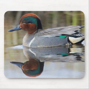 Mousepad Marreca-pintada