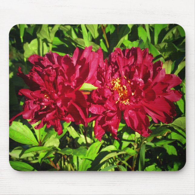 Mousepad Marrom de contraste de verão sobre flores verdes (Frente)
