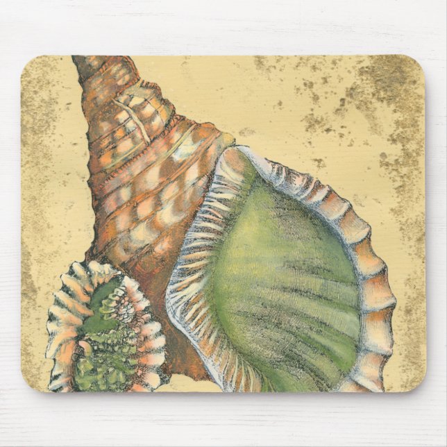 Mousepad Marrom e Seashell Verde (Frente)