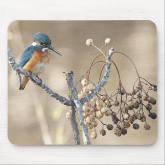 Mousepad Martinho pescatore na reserva de Hula
