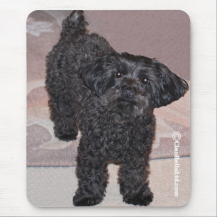 Mousepad Martini o Yorkie-Poo