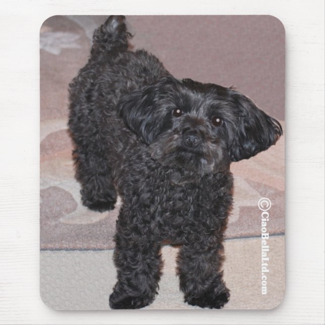 Mousepad Martini o Yorkie-Poo (Frente)