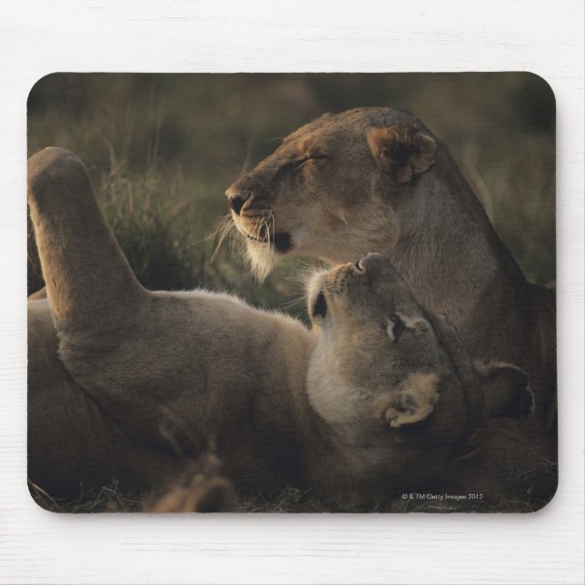 Mousepad Masai Mara Reserva Nacional 7 (Frente)