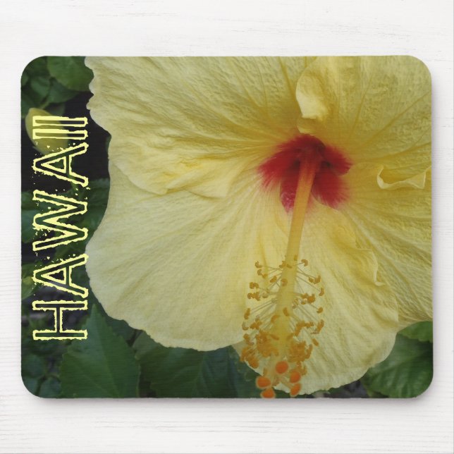 Mousepad Mascote de flor de hibisco do Havaí (Frente)
