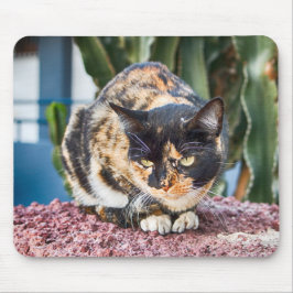 Mousepad Maspalomas Cat