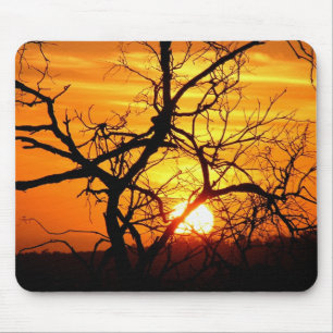 Mousepad Massépados Silhushets de Árvore Sunset