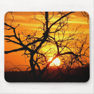 Mousepad Massépados Silhushets de Árvore Sunset