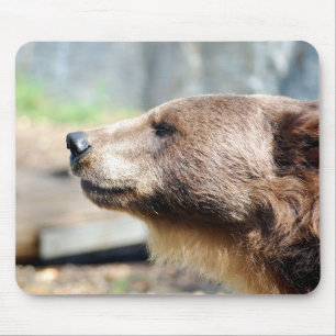 Mousepad Master Bruin