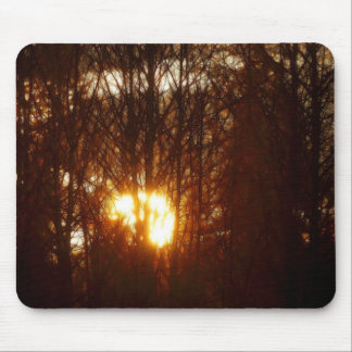 Mousepad MASTERPICES DA NATUREZA Luz solar através de árvor