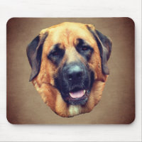 Mastiff Dog Lover