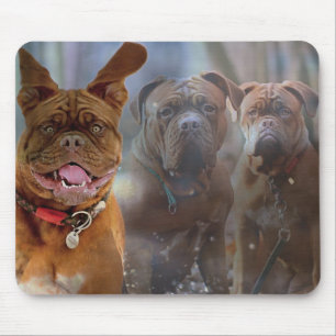 Mousepad Mastiff Plus