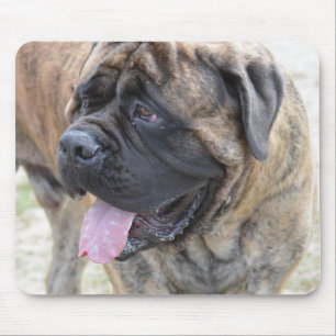 Mousepad Mastiff rajado