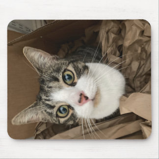 Mousepad Mat de Rato Gato